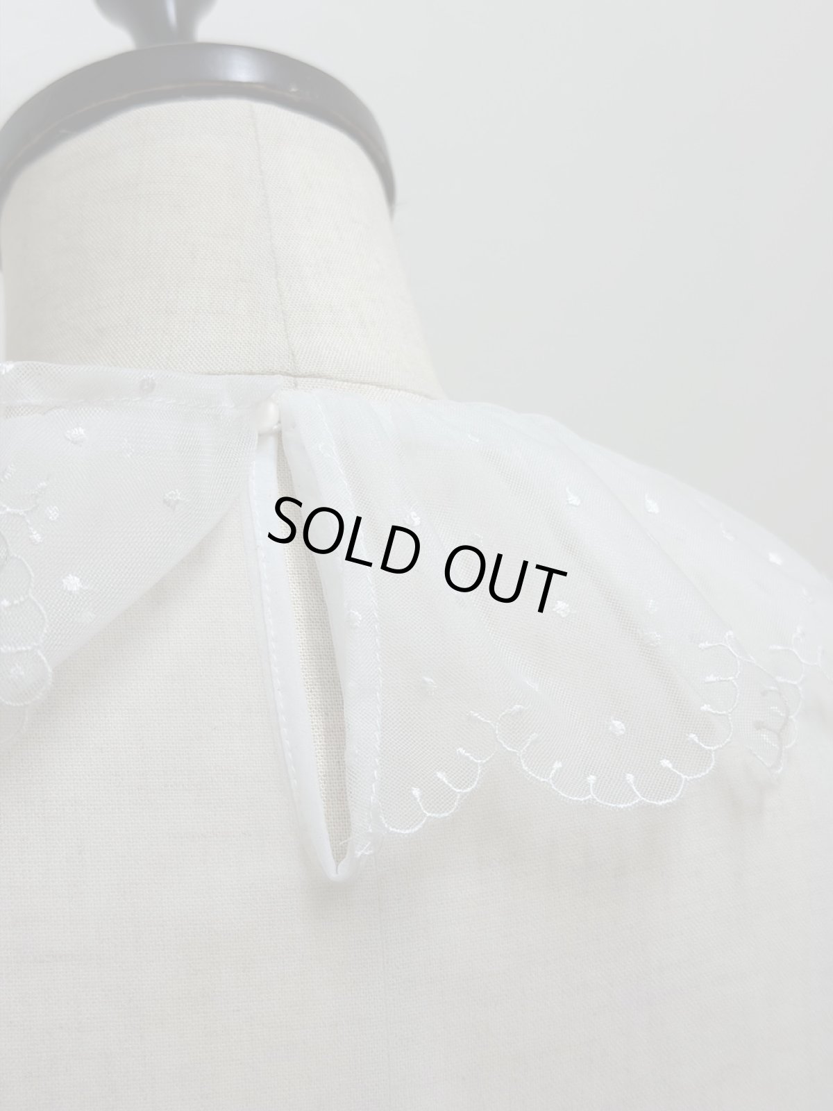 画像6: 【12月中旬〜12月下旬】パウダーランニング（M）6180050 (6)