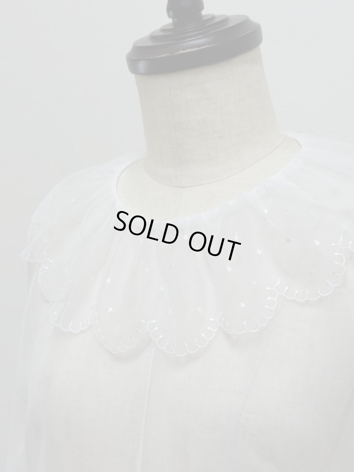 画像2: 【12月中旬〜12月下旬】パウダーランニング（M）6180050 (2)