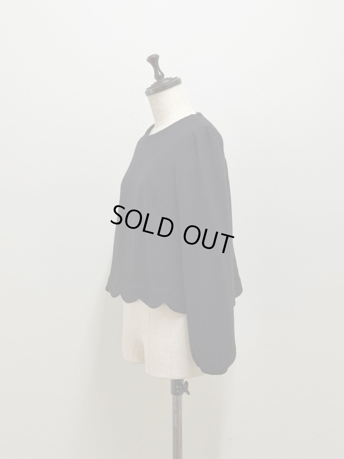 画像6: 【12月下旬〜1月中旬】トリコプルオーバー（3L）6680080 (6)