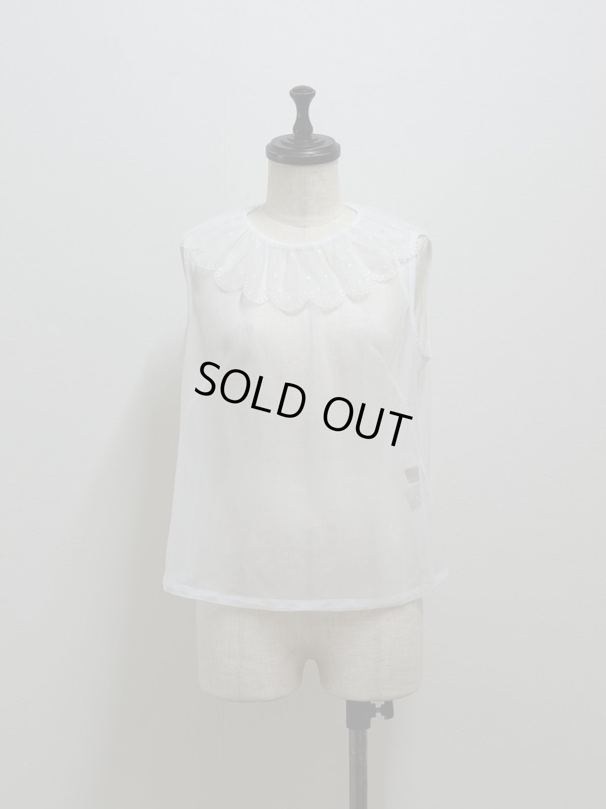 画像1: 【12月中旬〜12月下旬】パウダーランニング（M）6180050 (1)