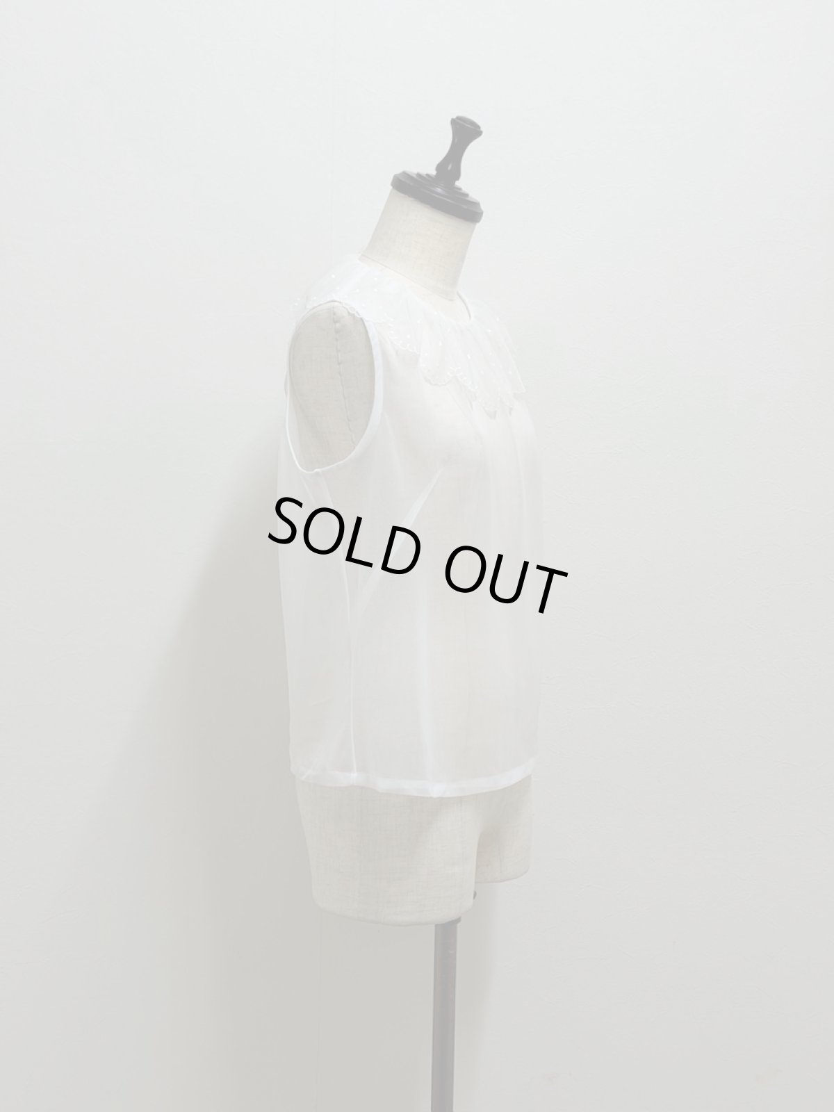 画像3: 【12月中旬〜12月下旬】パウダーランニング（M）6180050 (3)