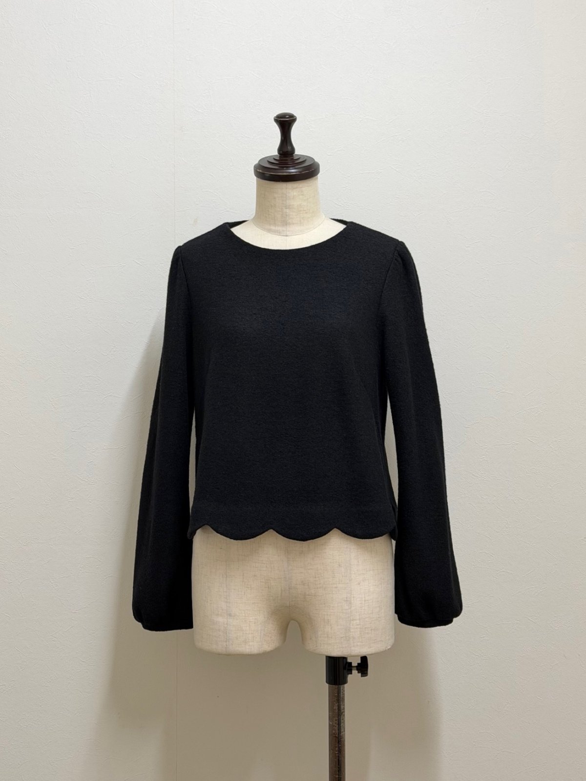 画像1: 【12月下旬〜1月中旬】トリコプルオーバー(M)6180070 (1)