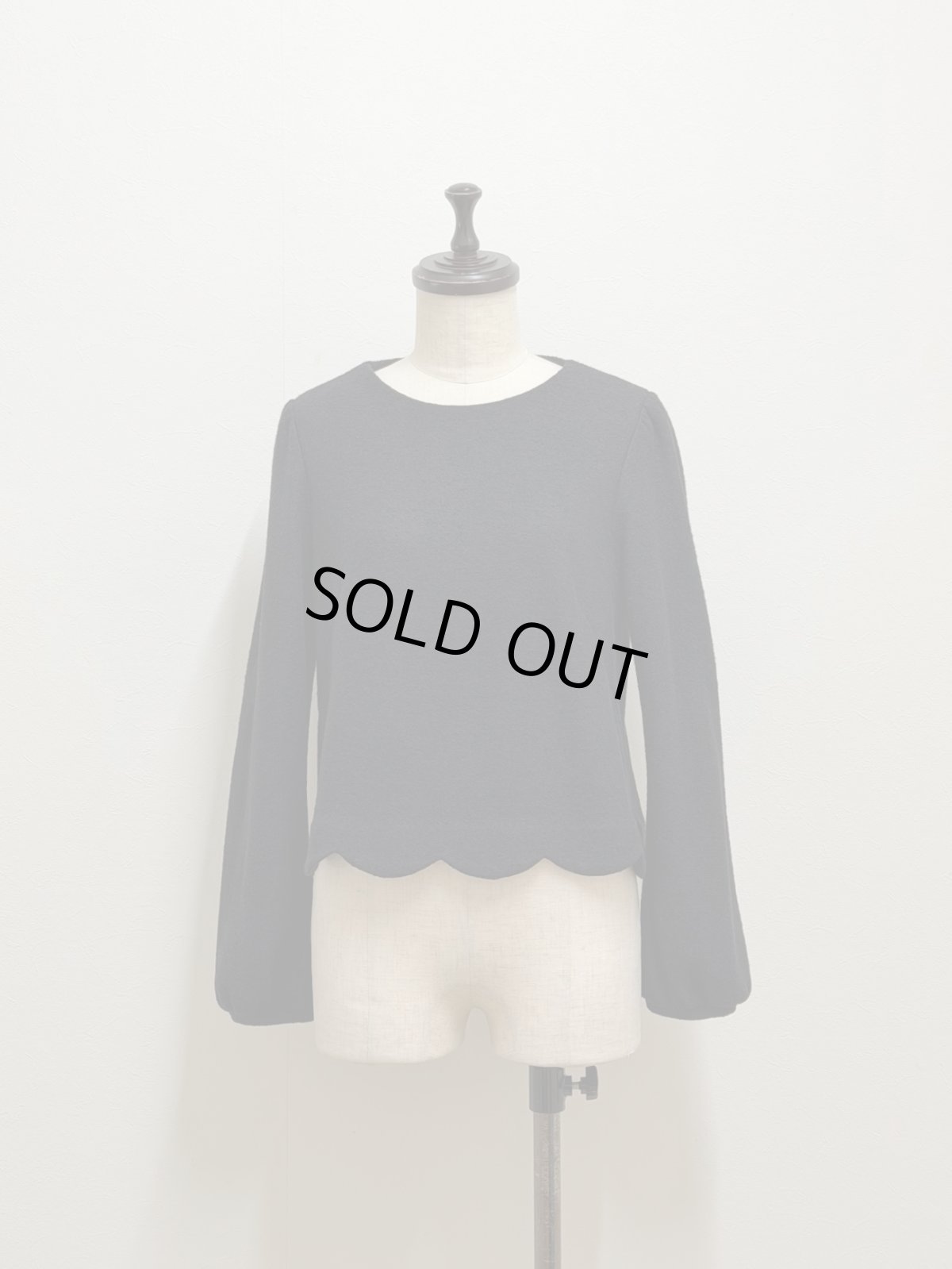 画像5: 【12月下旬〜1月中旬】トリコプルオーバー（3L）6680080 (5)