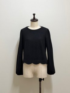 画像1: 【12月下旬〜1月中旬】トリコプルオーバー(M)6180070 (1)