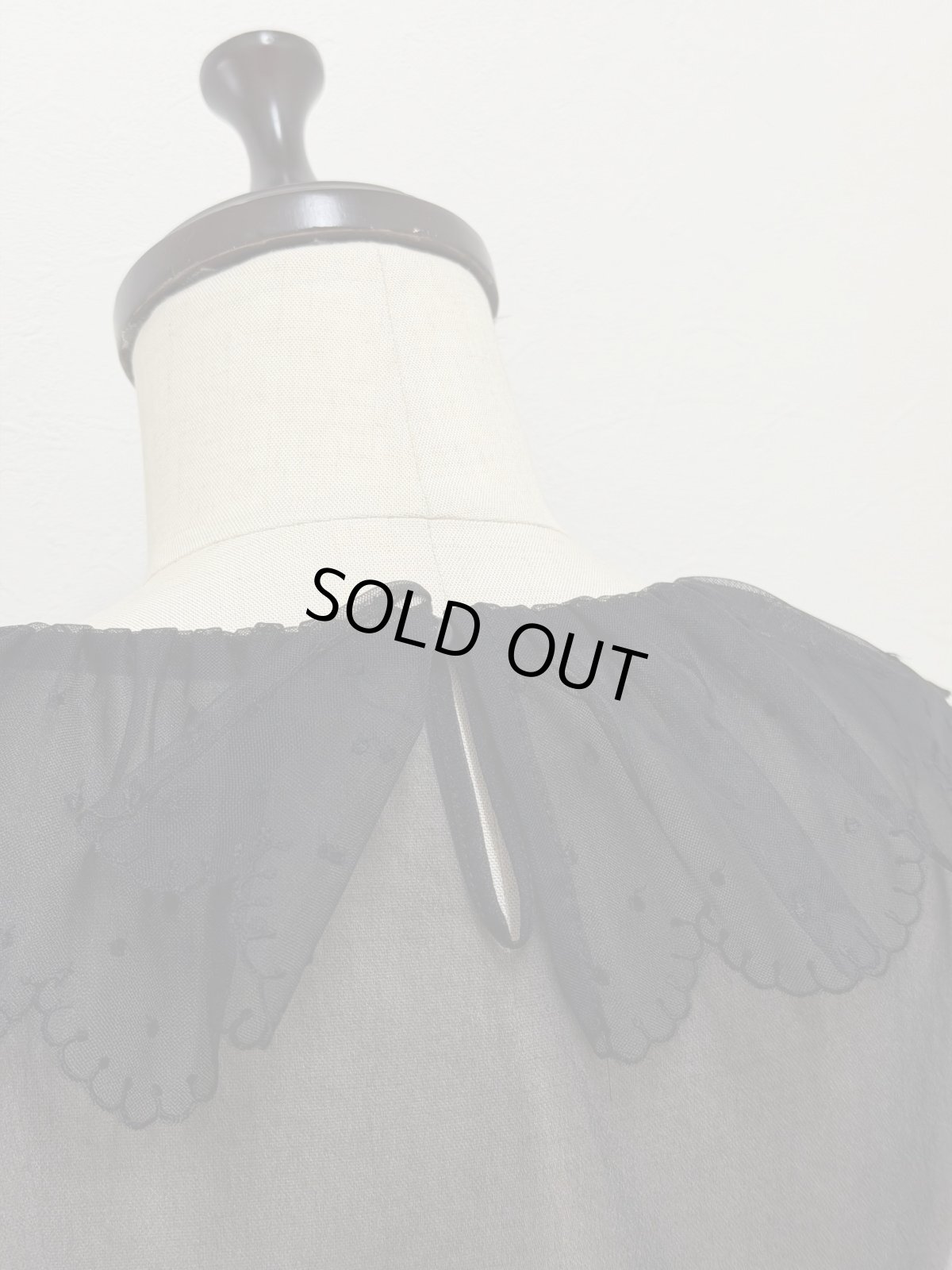 画像10: 【12月中旬〜12月下旬】パウダーランニング（M）6180050 (10)