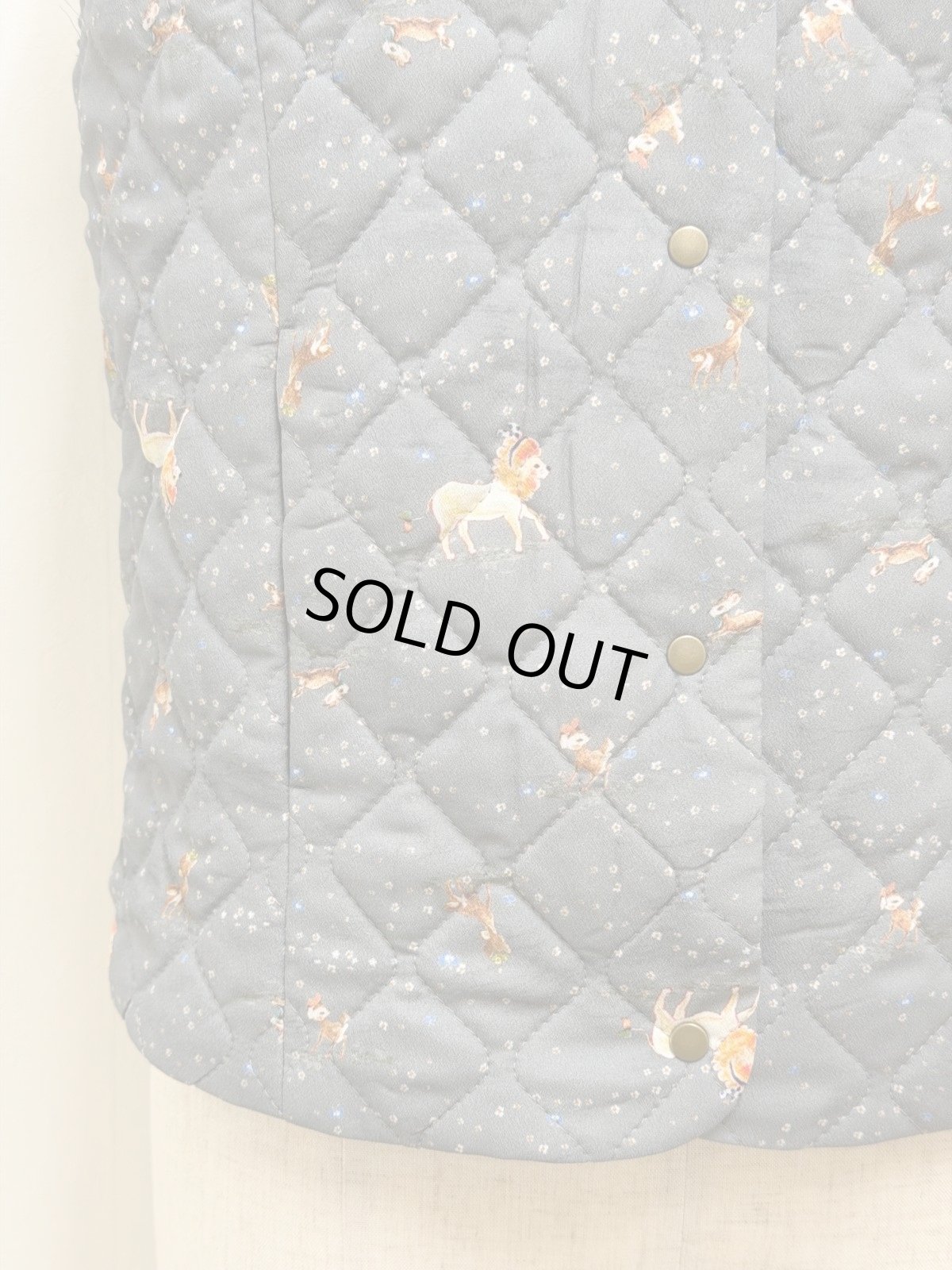 画像6: 【1月中旬〜1月下旬】草原のライオン キルトベスト(3L)　6690020 (6)