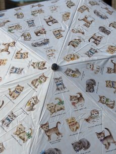 画像11: 【3月上旬〜3月中旬】テキスタイル折りたたみ日傘 6100020 (11)