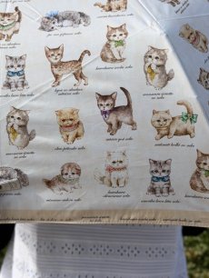 画像13: 【3月上旬〜3月中旬】テキスタイル折りたたみ日傘 6100020 (13)