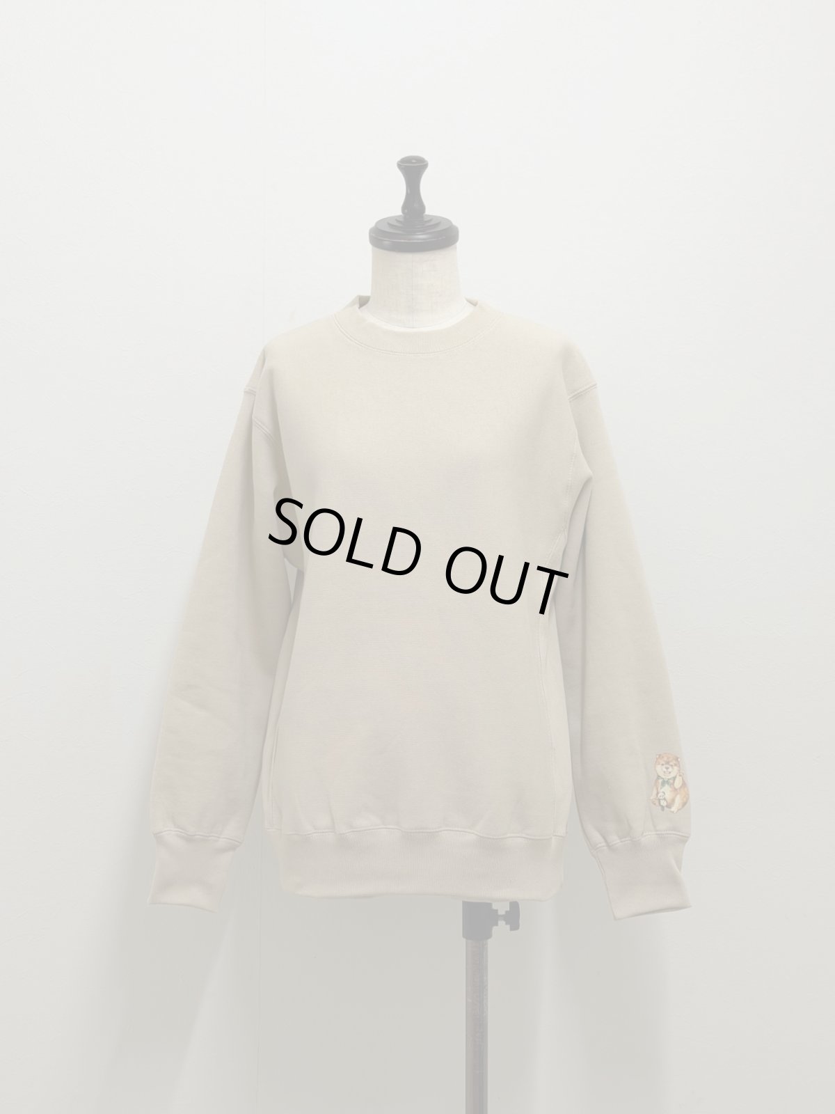 画像2: 【1月中旬〜1月下旬】こいぬ図鑑スエットプルオーバー ベージュ（3L）5685160-1 (2)