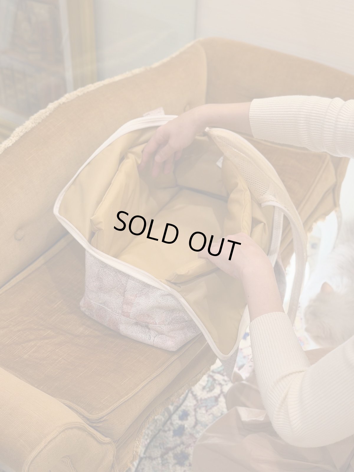 画像4: 【2月中旬〜2月下旬】こども部屋ペットキャリーBAG　6100050 (4)