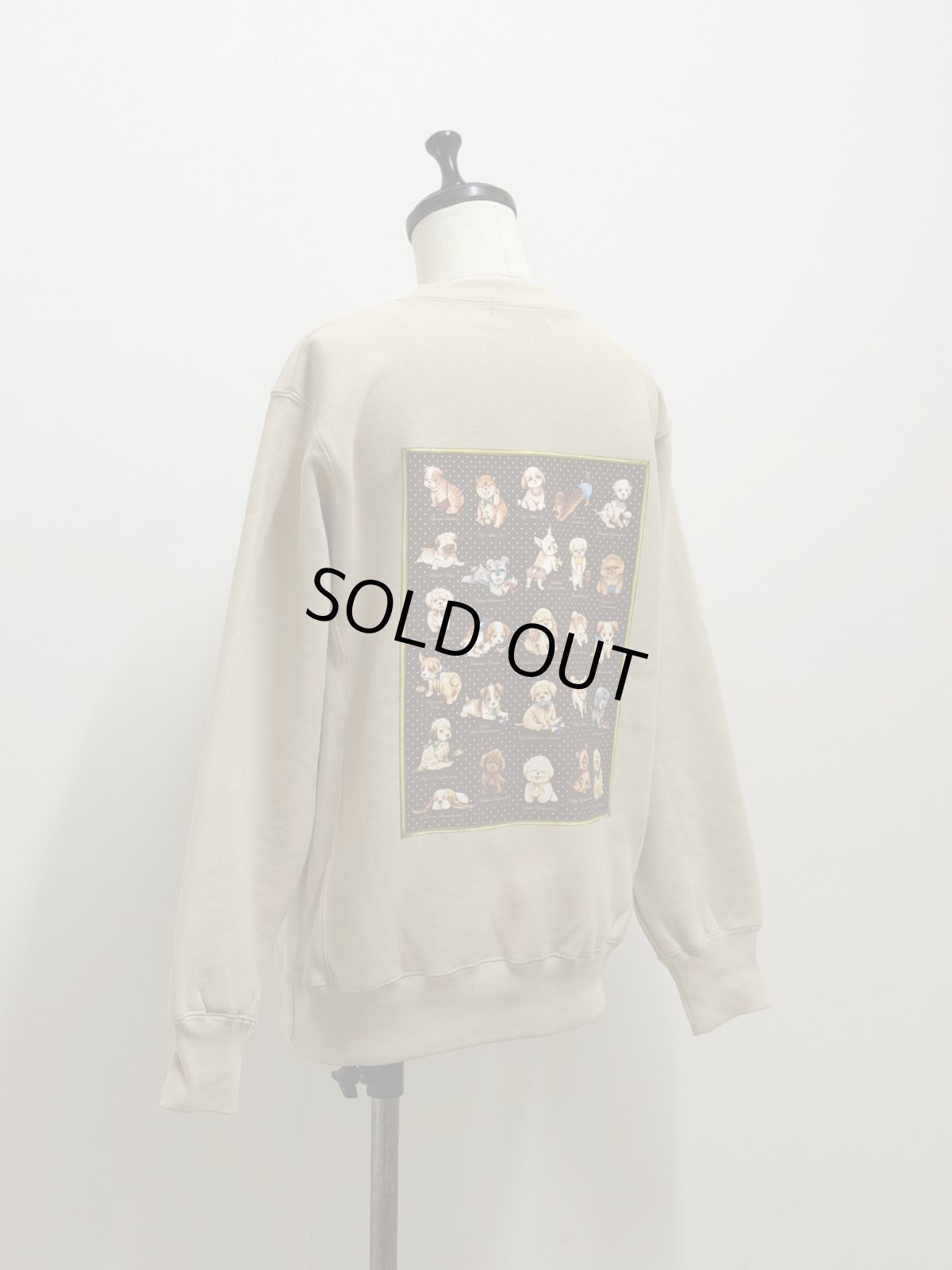 画像1: 【1月中旬〜1月下旬】こいぬ図鑑スエットプルオーバー ベージュ（3L）5685160-1 (1)