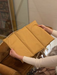 画像3: 【2月中旬〜2月下旬】こども部屋ペットキャリーBAG　6100050 (3)