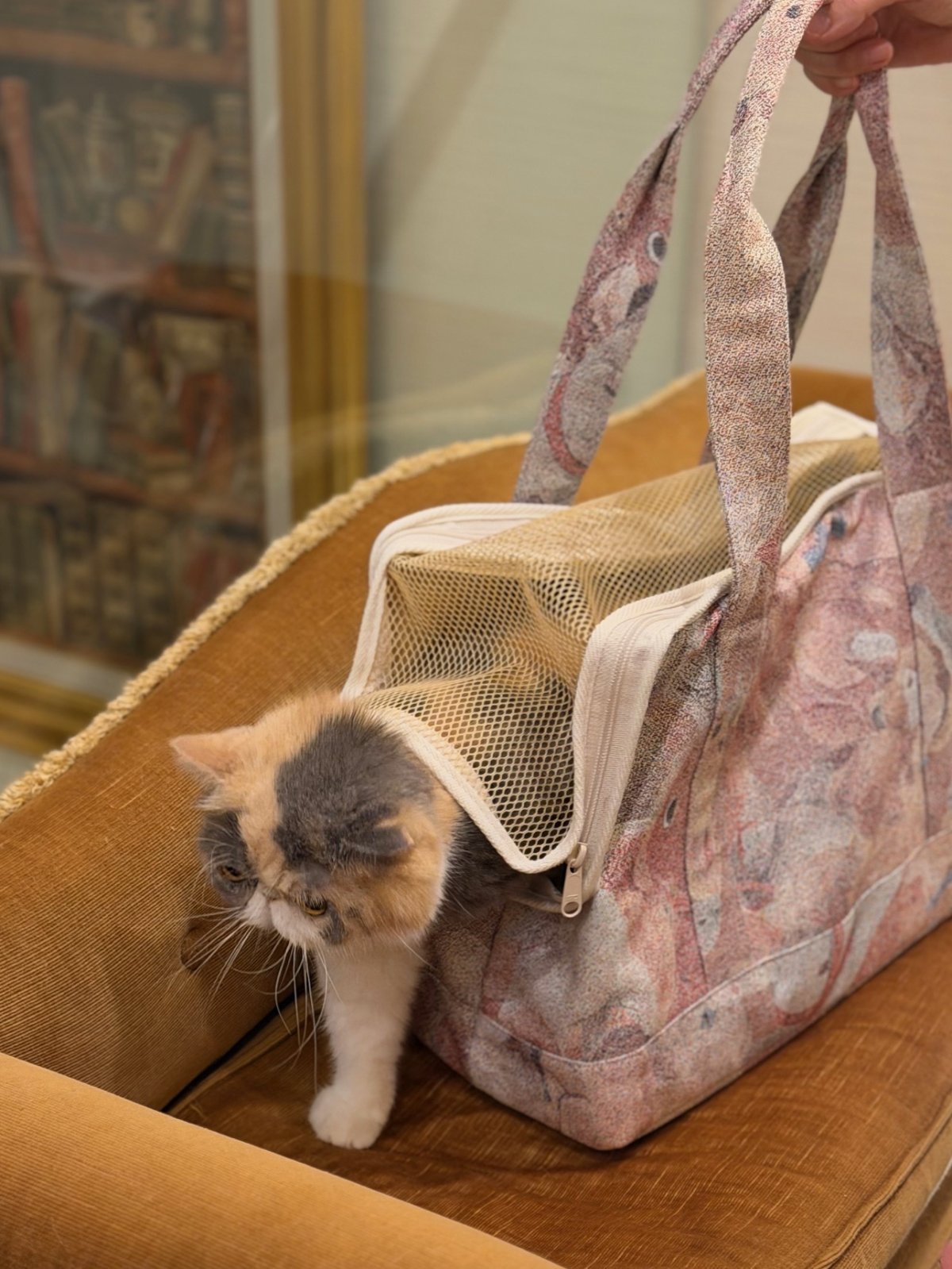 画像1: 【2月中旬〜2月下旬】こども部屋ペットキャリーBAG　6100050 (1)