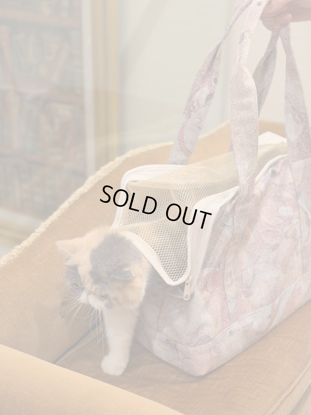 画像1: 【2月中旬〜2月下旬】こども部屋ペットキャリーBAG　6100050 (1)