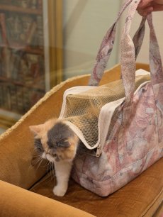 画像1: 【2月中旬〜2月下旬】こども部屋ペットキャリーBAG　6100050 (1)