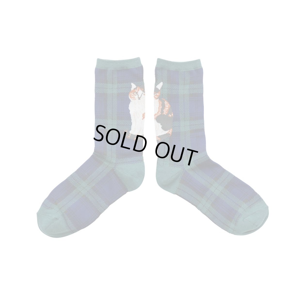 画像1: 松尾ミユキ  Check Socks Tabby MM311 (1)