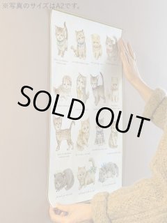予約商品（〜ご予約承り中〜） - 陽氣屋オンラインショップ