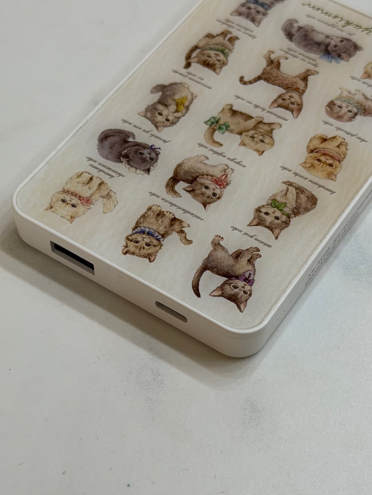 画像2: 【3月下旬〜4月上旬】こねこ図鑑モバイルバッテリー充電器　6100280 (2)