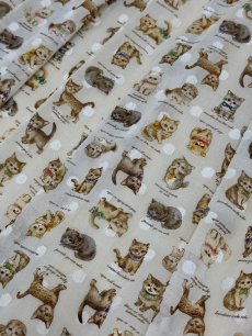 画像7: 【6月上旬〜6月中旬】こねこ図鑑ボリュームスカート（3L）6660340 ※数量限定 (7)