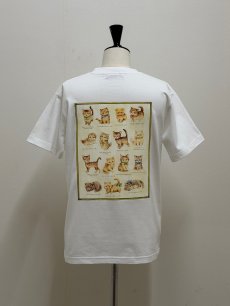 画像1: 【6月中旬〜6月下旬】ぺたぺたこねこ図鑑Tシャツ 3L（長め3L）6680380 (1)