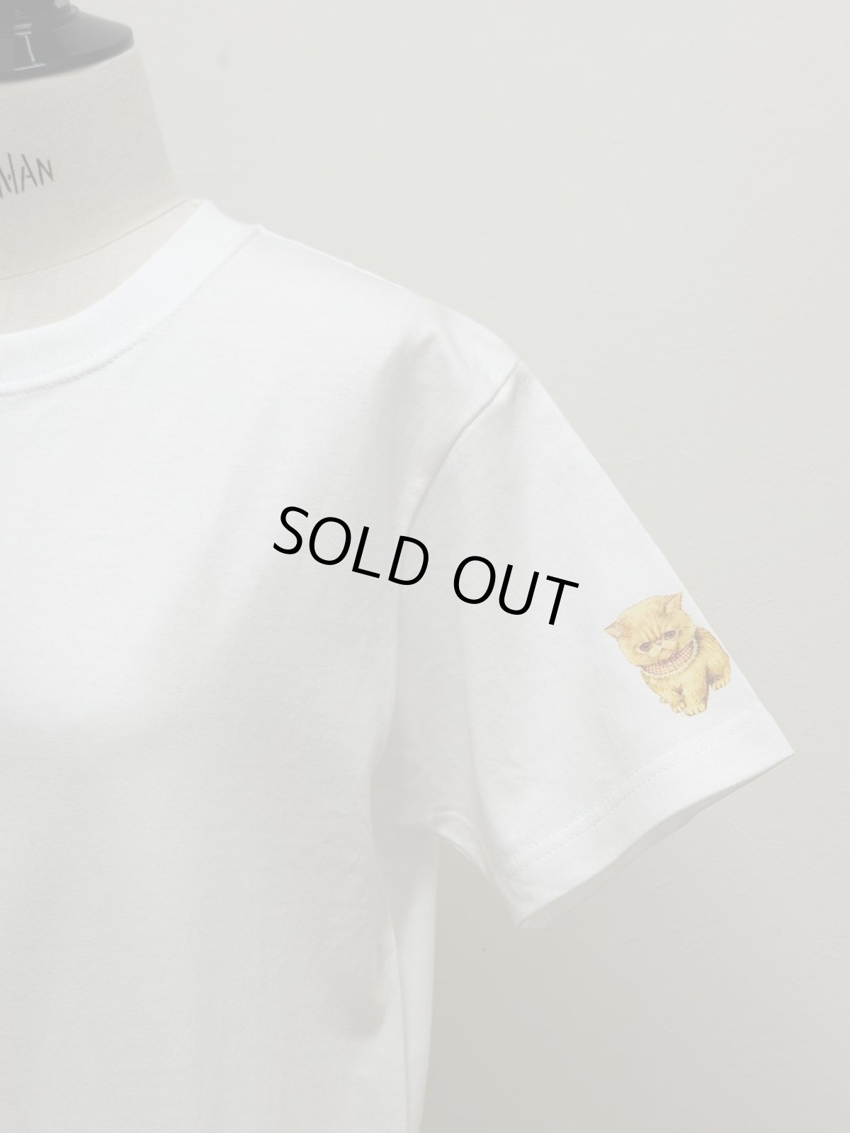 画像3: 【6月中旬〜6月下旬】ぺたぺたこねこ図鑑Tシャツ 2XL（メンズサイズ）6680390 (3)