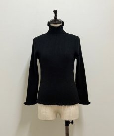 画像6: 【12月上旬〜12月中旬】ジェリーピタートル2（3L）6625100 (6)