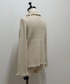 画像2: 【12月上旬〜12月中旬】ジェリーピタートル2（3L）6625100 (2)
