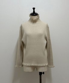 画像1: 【12月上旬〜12月中旬】ジェリーピタートル2（3L）6625100 (1)