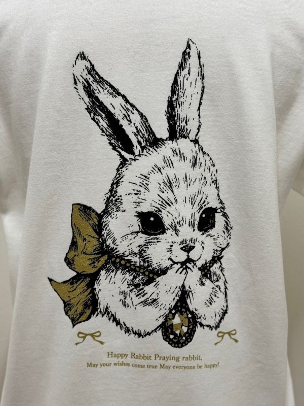 yukiemon クマ ウサギ 刺繍 ロング シャツ ワンピース シアー 黒系 